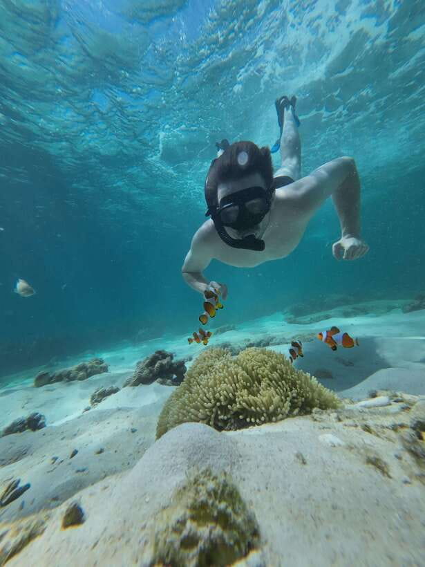 Koh Lipe: Half-Day Snorkelling Trip To 4 Islands 5 Points - Adang Island and the final underwater stop