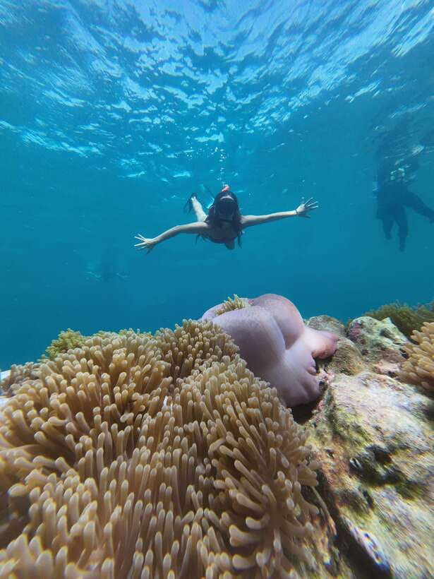 Koh Lipe: Half-Day Snorkelling Trip To 4 Islands 5 Points - What is included for the $20 price