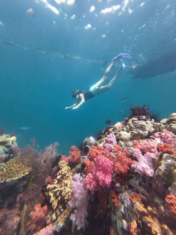 Koh Lipe: Half-Day Snorkelling Trip To 4 Islands 5 Points - Should you book the five-island tour?
