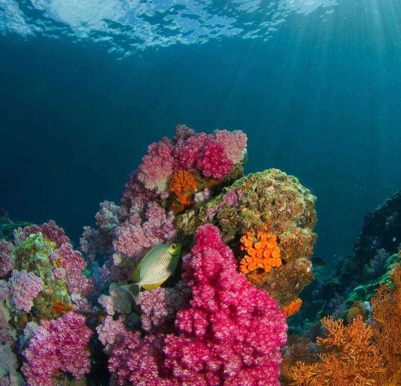 Koh Lipe: Island Hopping by Private Longtail Boat w/ Snorkel - Weather, waves, and who should skip it