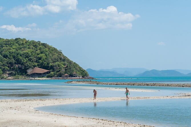 Koh Samui: Island Hopping Adventure in Coral and Pig Island - The best parts of the day