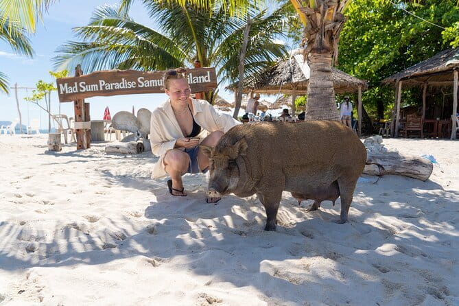 Koh Samui: Island Hopping Adventure in Coral and Pig Island - Starting early at Thong Krut Pier