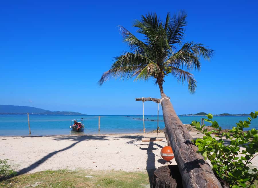 Koh Samui: Private Island Hopping Boat Tour - Koh Rap for beach time and snorkeling