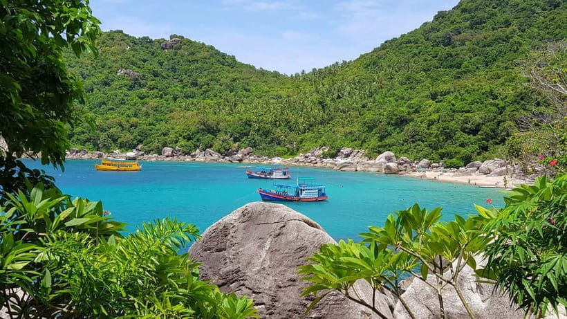 Koh Tao: Underwater Gems, Island Hopping & Snorkel Adventure - Five details that shape the day