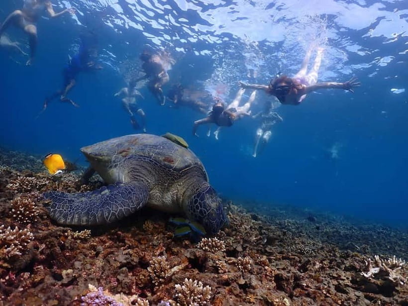 Koh Tao: Underwater Gems, Island Hopping & Snorkel Adventure - Koh Nangyuan and the famous sandbar