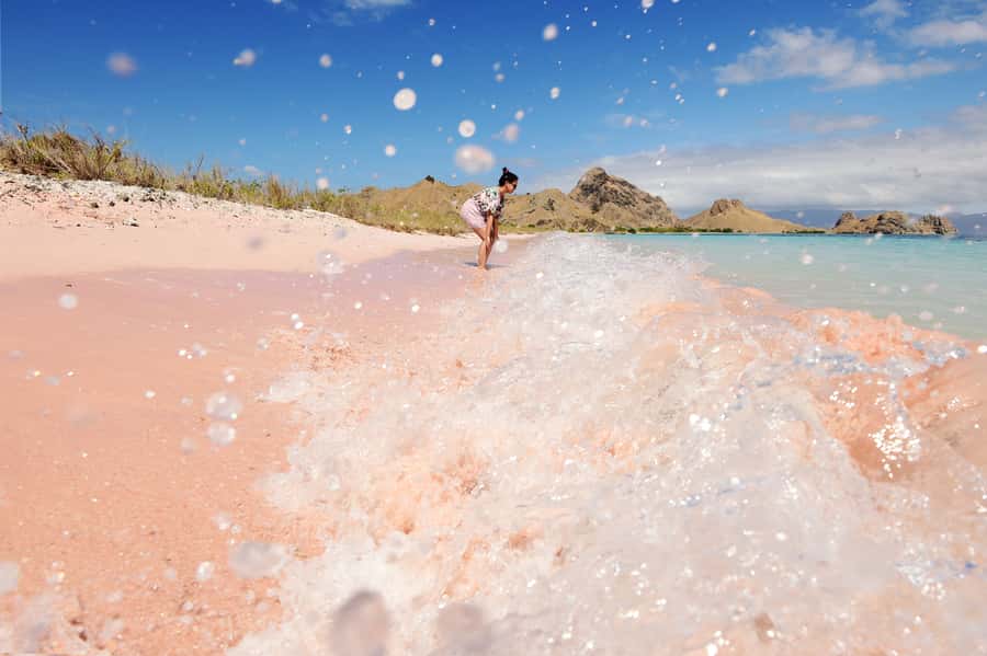 Komodo Island: Komodo Dragons & Islands Day Tour - Key points at a glance