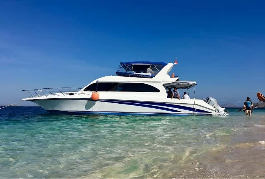 Komodo Island: Komodo Dragons & Islands Day Tour - Pink Beach: unusual sand and clear water