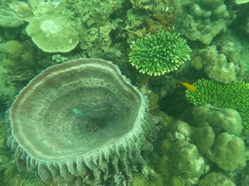 Krabi: 4 Islands & Krabi's Separated Sea Longtail Boat Tour - Four things to know before you book