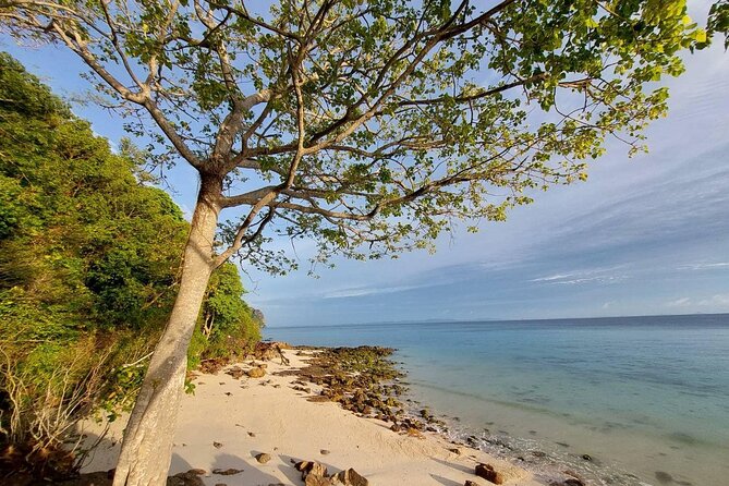 Krabi 7 Islands Sunset Tour with Bioluminescent Plankton + BBQ - The plankton swim is the tour’s special finale