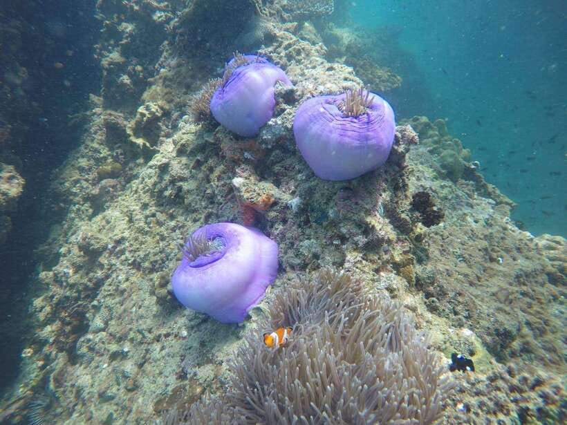 Krabi: 7 Islands Sunset Tour with Buffet Dinner & Snorkeling - What to pack for the boat and beach