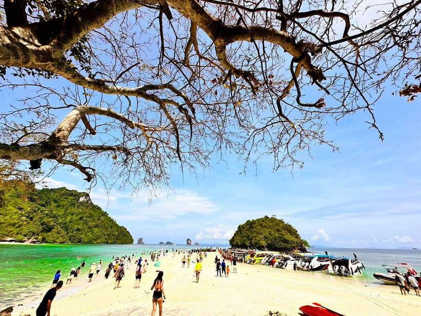 Krabi:Day Trip 4 Islands by Premium Longtail Boat with Lunch - Key points at a glance