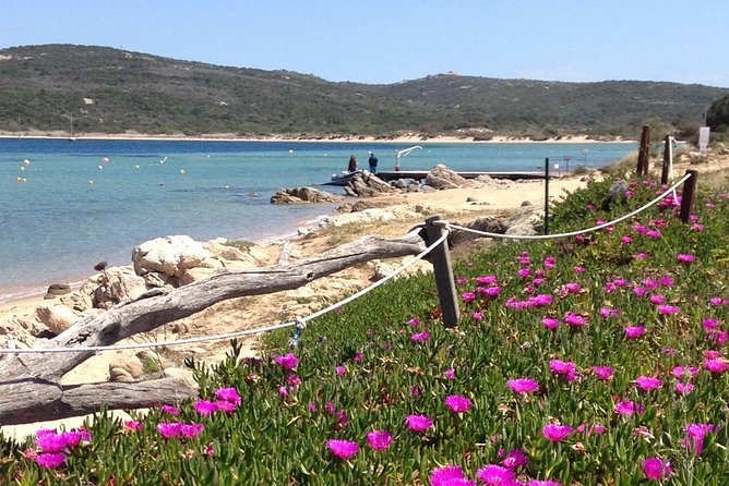 La Mad DA Lena: Afternoon snorkeling excursion from Porto Pollo. - Cala Corsara on Isola di Spargi