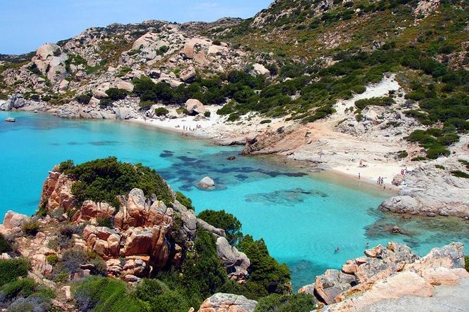 La Maddalena Archipelago Boat Tour from Palau - Price, group size, and the real value