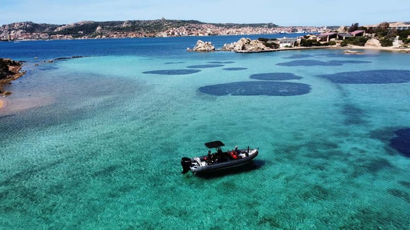La Maddalena Archipelago: Private Trip by Zodiac (RIB) - Key points to know before you book