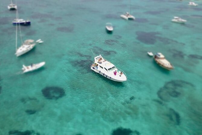 La Maddalena Archipelago Tour with Motorboat DC12 - Why this private La Maddalena boat trip is appealing