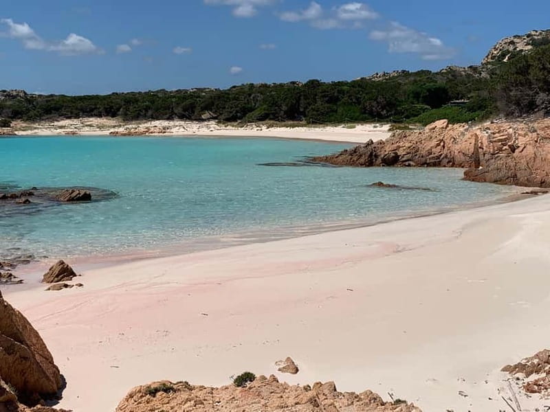 La Maddalena: daily sailing tour archipelago La Maddalena - Who will enjoy this day most