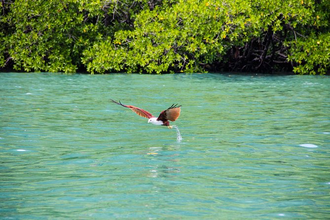 Langkawi Half Day Island Hoping Tour- Sharing basis - The human side of the experience