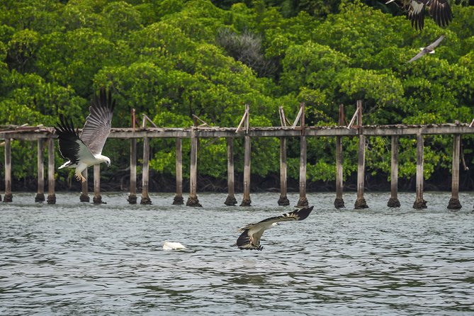 Langkawi Half Day Island Hoping Tour- Sharing basis - How to make the most of the morning