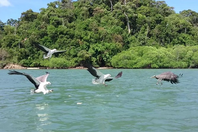 Langkawi Island Hopping Boat Tour with Return Transfer - Morning or afternoon pickup from Langkawi hotels