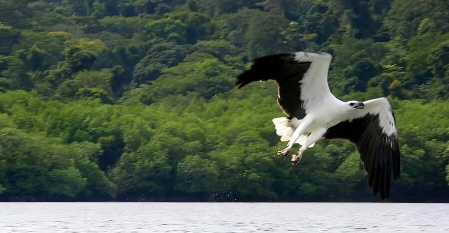 Langkawi: Island Hopping Shared or Private Boat Options - Key points to know before you book