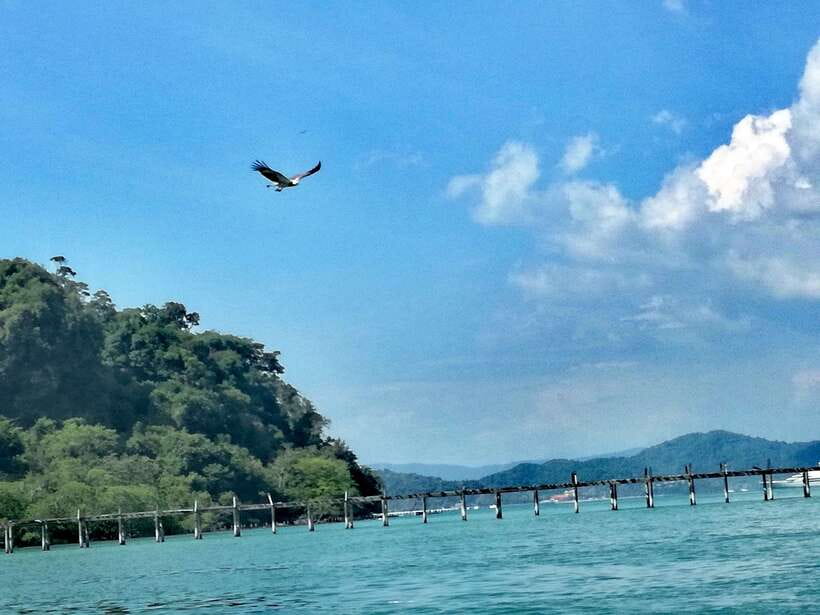 Langkawi: Island Hopping Tour - Singa Besar, monkeys, and a practical wildlife stop