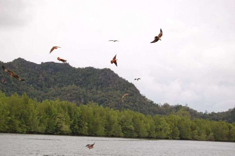 Langkawi: Island Hopping Tour - Weather, comfort, and what to pack