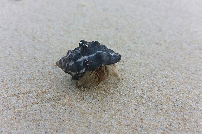Lanta 4 Islands + Emerald Cave Snorkeling Tour - Lunch at Ko Ngai Beach