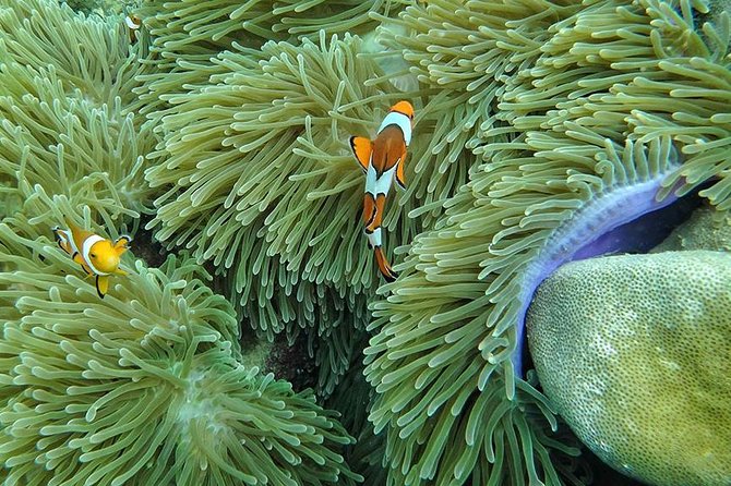 Lanta 4 Islands + Emerald Cave Snorkeling Tour - Who will enjoy this tour most