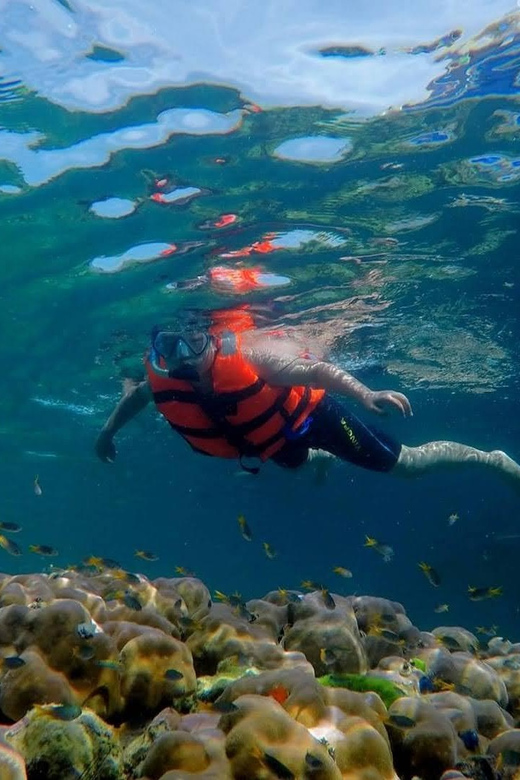 Lanta's Hidden Gems: 4 Islands by Traditional Longtail Boat - Koh Mook and the 80-metre Emerald Cave