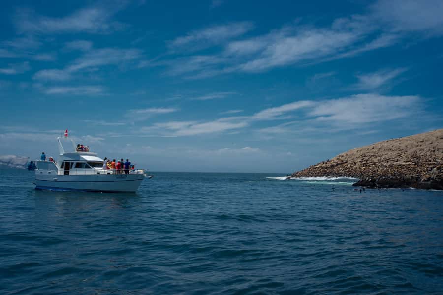 Lima: Sea Lion Swim and Wildlife Palomino Islands Cruise - Key points before you book