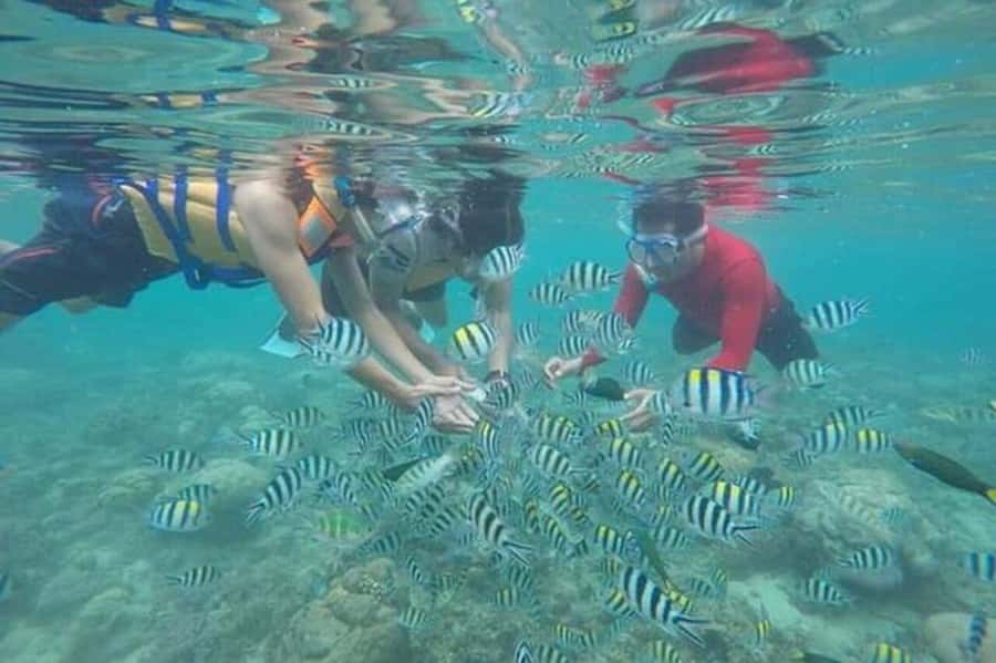 Lombok: Gili Nanggu, Tangkong, Sudak, and Kedis Islands Tour - From Your Hotel to Taun Harbour
