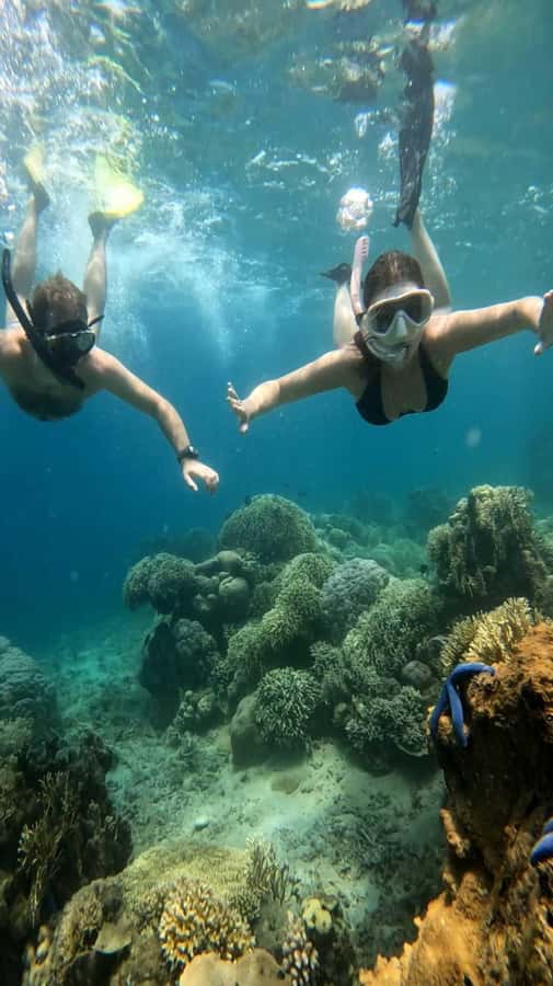 Lombok: Gili Nanggu, Tangkong, Sudak, and Kedis Islands Tour - Snorkeling, Guides, and Marine Etiquette