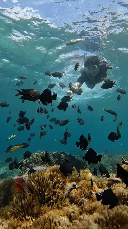 Lombok: Gili Nanggu, Tangkong, Sudak, and Kedis Islands Tour - How the Private Format Changes the Day