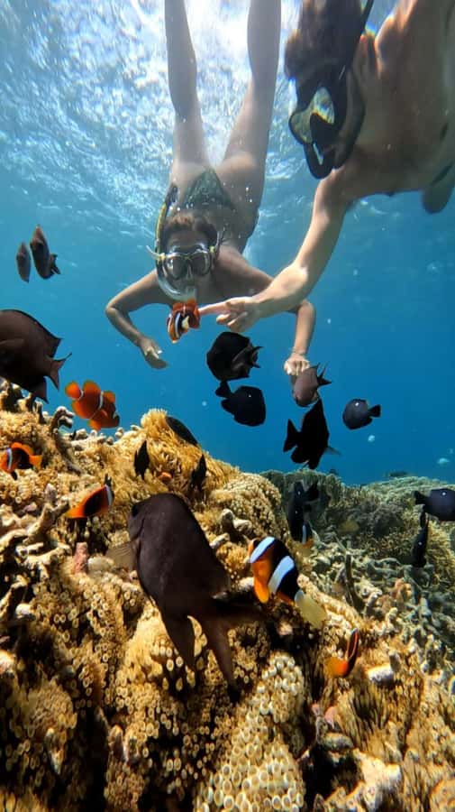 Lombok: Gili Nanggu, Tangkong, Sudak, and Kedis Islands Tour - Who Should Book This Lombok Island Tour?