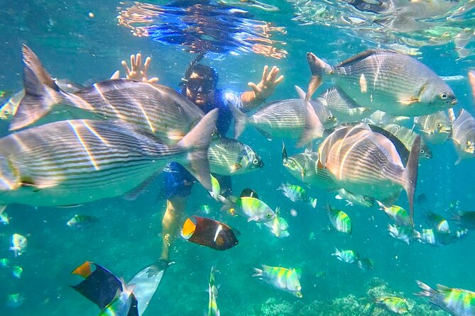 Los Arcos 5 islands Snorkeling Cliff Jumping and Hidden Beach - Los Arcos is the heart of the trip