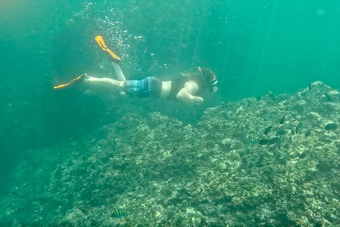 Los Arcos Snorkeling & 5 Island Adventure - The caves, rocks, and cliff-jump choice