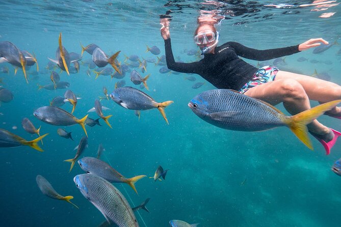 Maafushi: Full Day Snorkeling and Island Hopping Experience - Group size, comfort, and the pace of the day