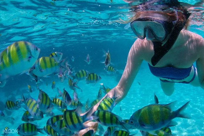 Mactan Cebu Island Hopping with Lunch - Gilutungan, Caohagan, Nalusuan - Starting at Cordova RORO Port