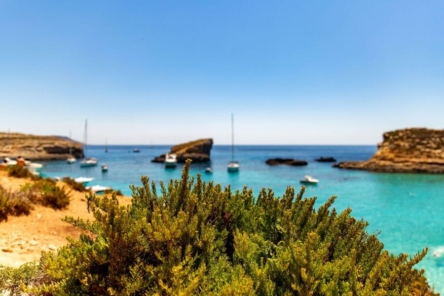 Malta: Blue Lagoon, Comino & St Paul's Islands Cruise - Key points at a glance