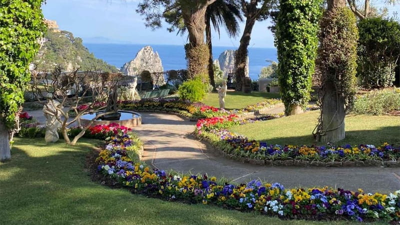 Marina Grande: Guided Capri Island Hop-On Hop-Off Bus Tour - Who will like this Capri bus tour