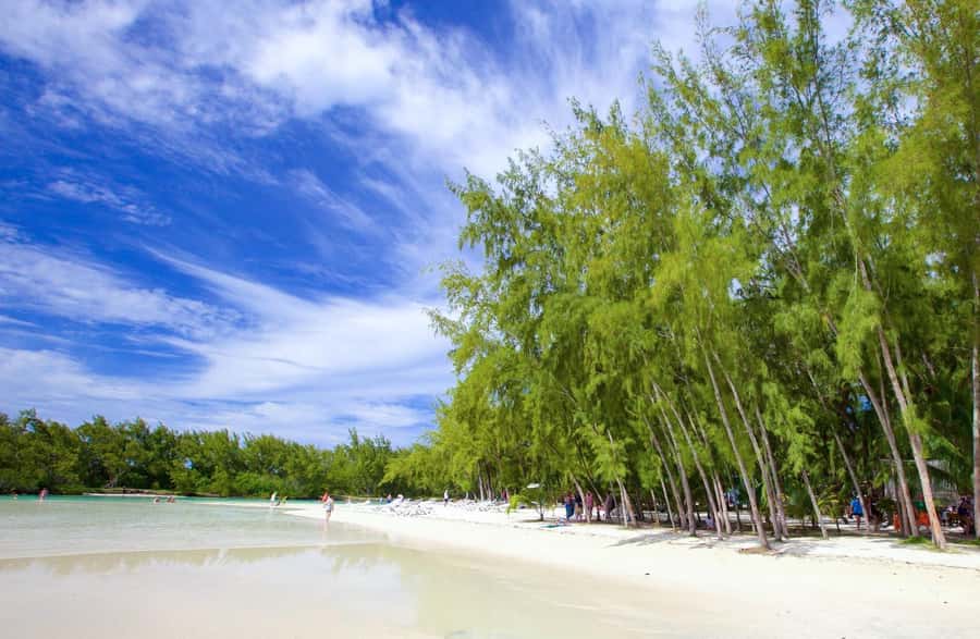 Mauritius: 5 East Coast Islands Tour with Snorkeling & Lunch - BBQ lunch on Ile aux Margenie