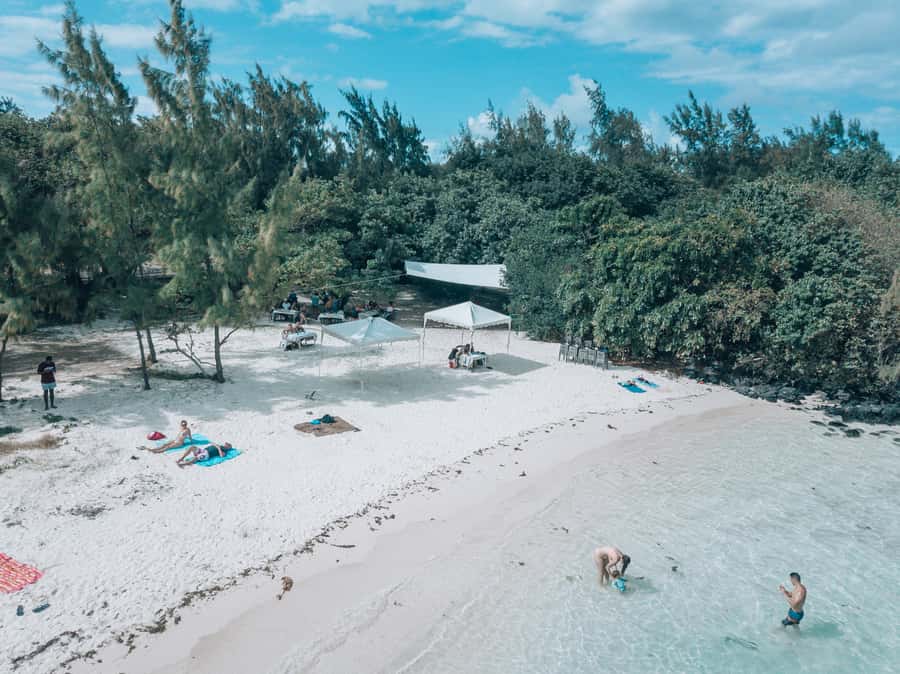 Mauritius: Private 5 Island Tour with Ile aux Cerfs - Dolphin spotting and what you can reasonably expect