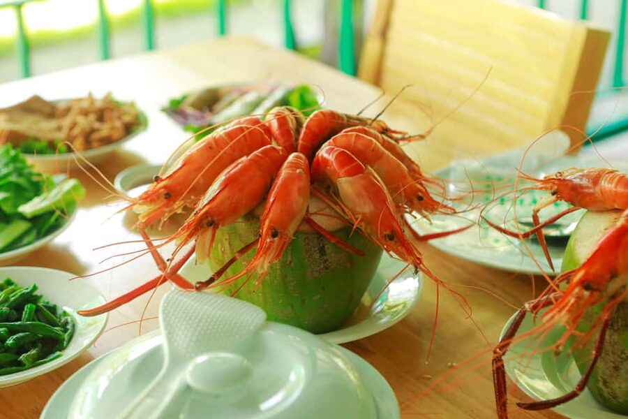 Mekong Delta Full Day - My Tho & Ben Tre - Four Islands Tour - A motorboat across the Mekong to Unicorn Islet