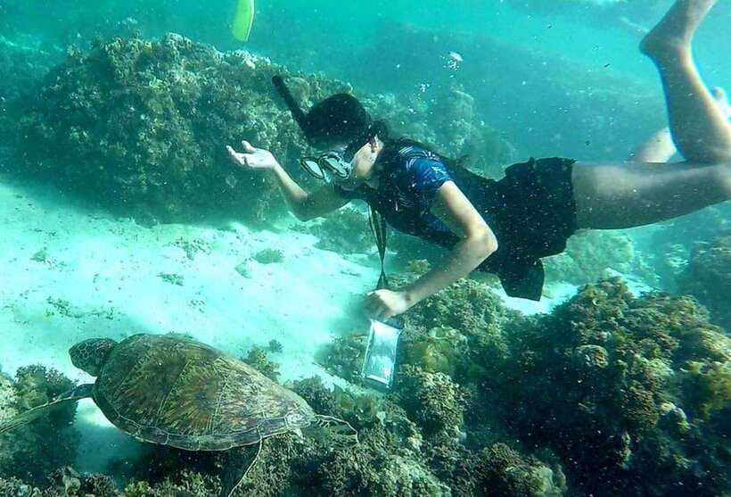 Moalboal: Pescador Island Hopping Adventure and Sardine Run - What this Moalboal day is really about