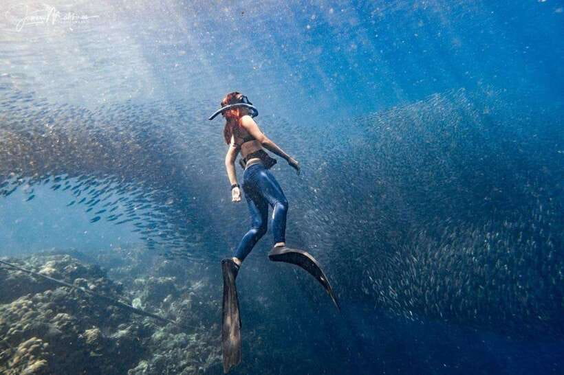 Moalboal: Scuba Diving and Pescador Island Hopping - Key points to know before booking