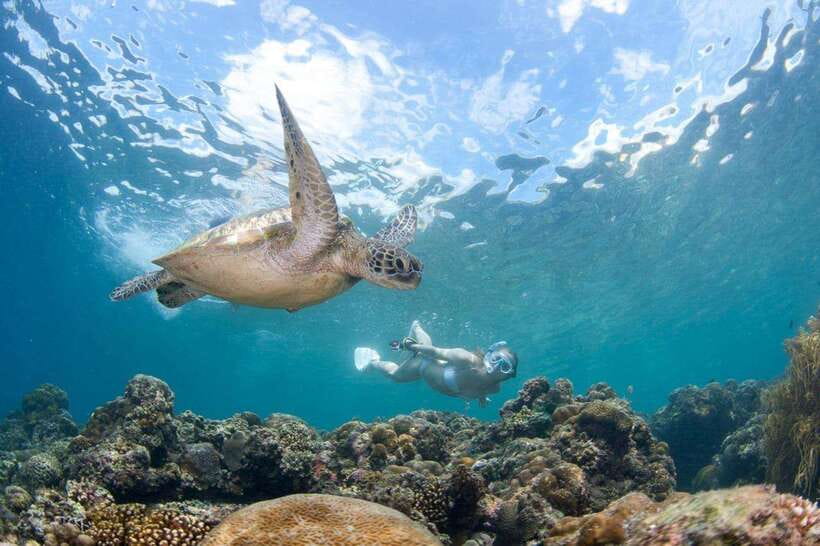 Moalboal: Scuba Diving and Pescador Island Hopping - The 30-minute boat ride to Pescador Island