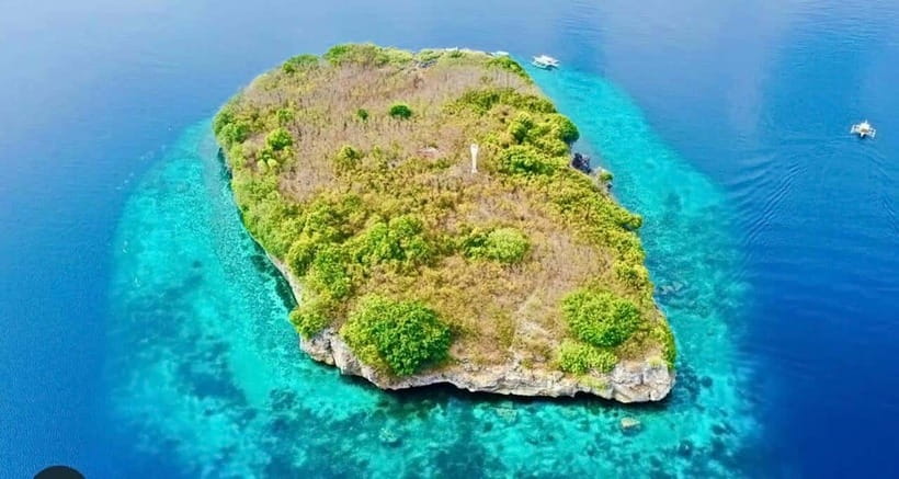 Moalboal: Scuba Diving and Pescador Island Hopping - Finding the sardines and sea turtles
