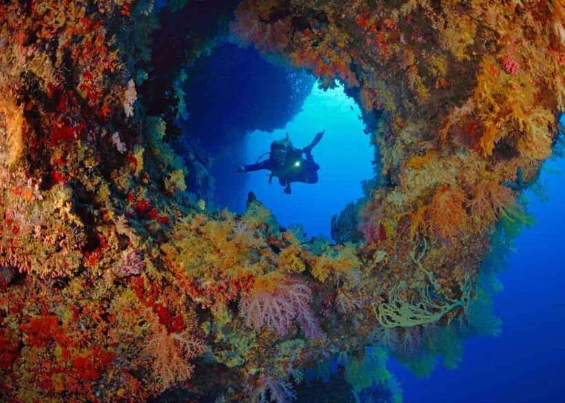 Moalboal: Scuba Diving and Pescador Island Hopping - Lunch and the gap between sessions