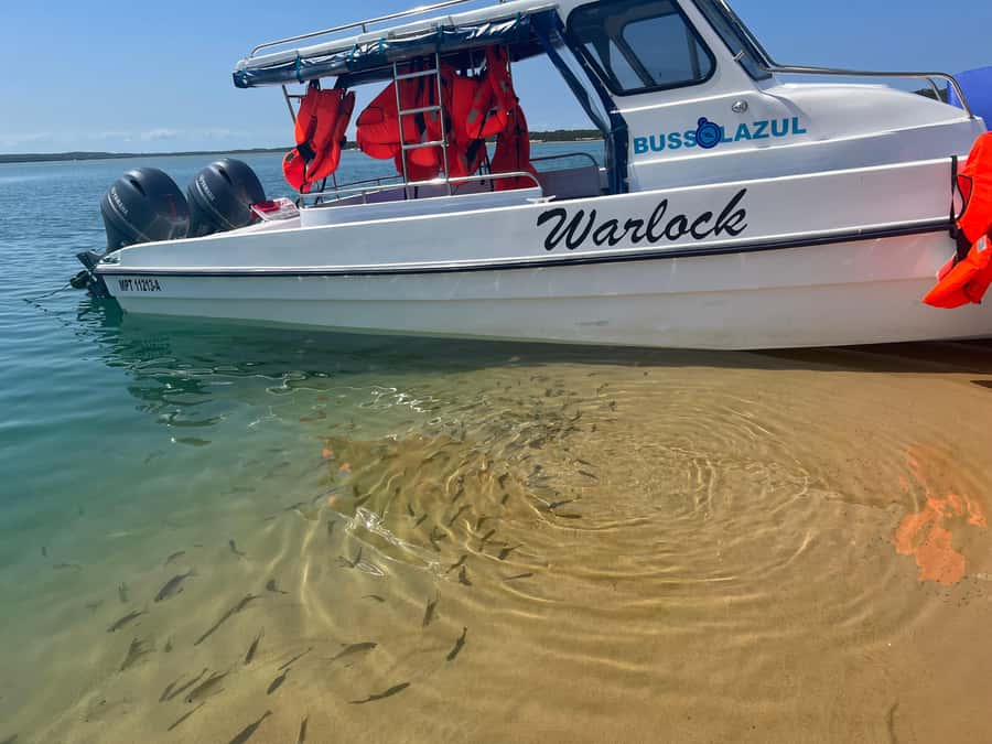 Mozambique: Inhaca, Santa Maria, and Portuguese Islands Tour - The boat schedule and what nine hours feels like