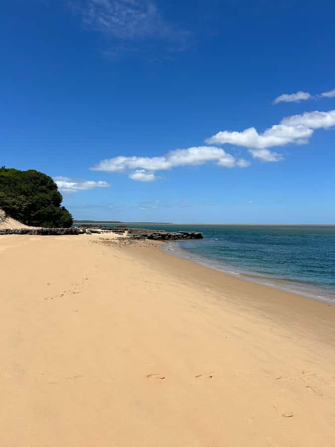 Mozambique: Inhaca, Santa Maria, and Portuguese Islands Tour - Food and the human side of the outing